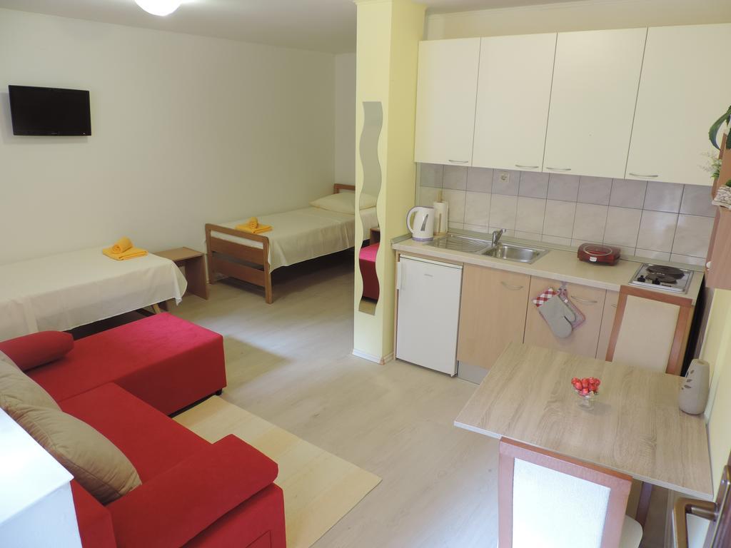 Palmin Dvor-jercic Apartment
